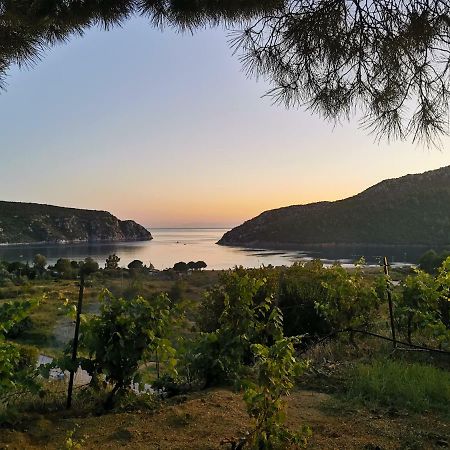 Porto Koufo Resort Bungalows Exterior foto